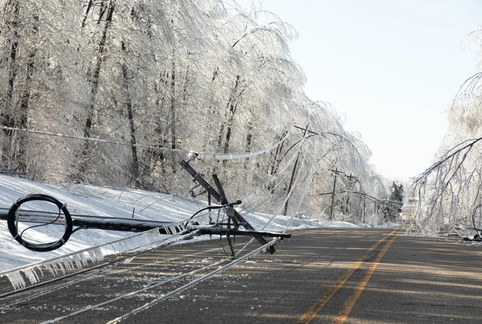 Winter Storm Hits South: Power Outages Loom as Cold Sets In