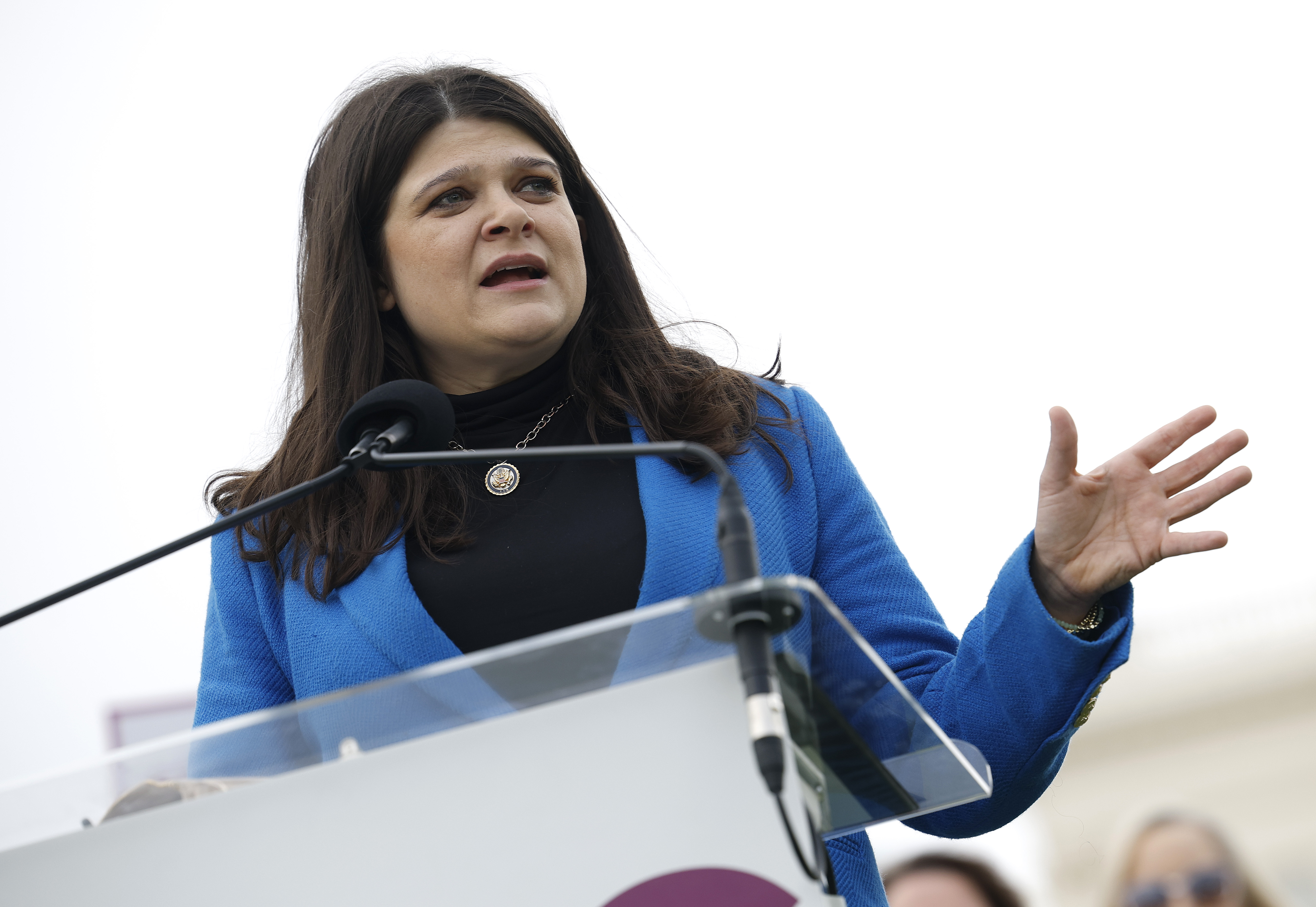 Democrats Get Warning Signs in New Michigan Poll