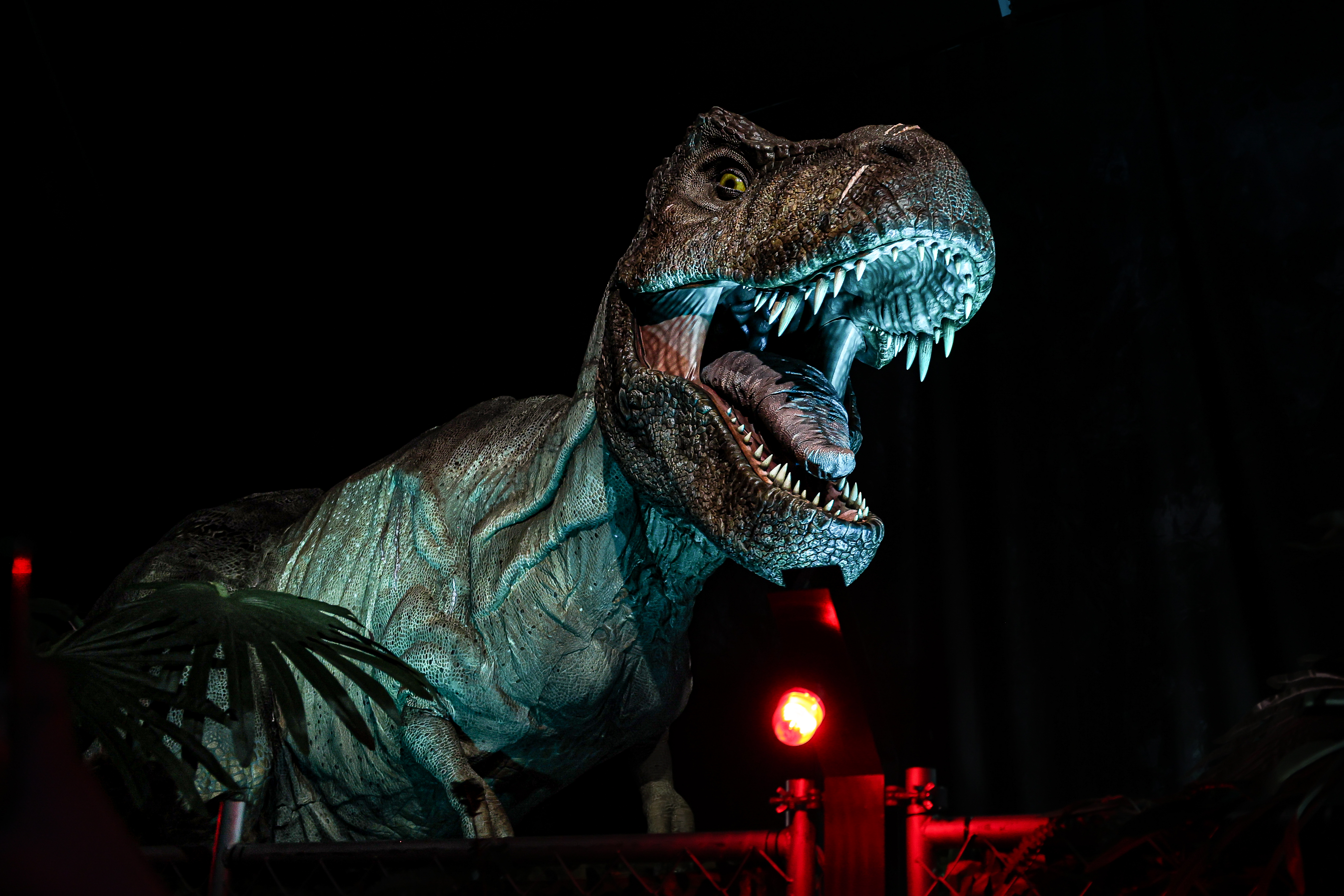 New Study Rewrites What Scientists Know About the T. Rex
