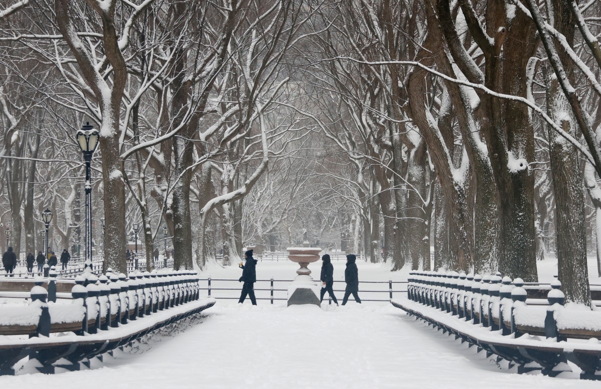 Winter Storm Warning for New York, Michigan&mdash;&lsquo;Hazardous Conditions&rsquo;