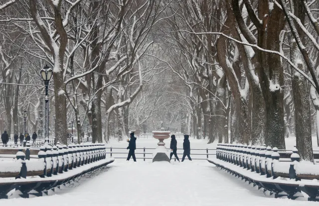 Snow central park