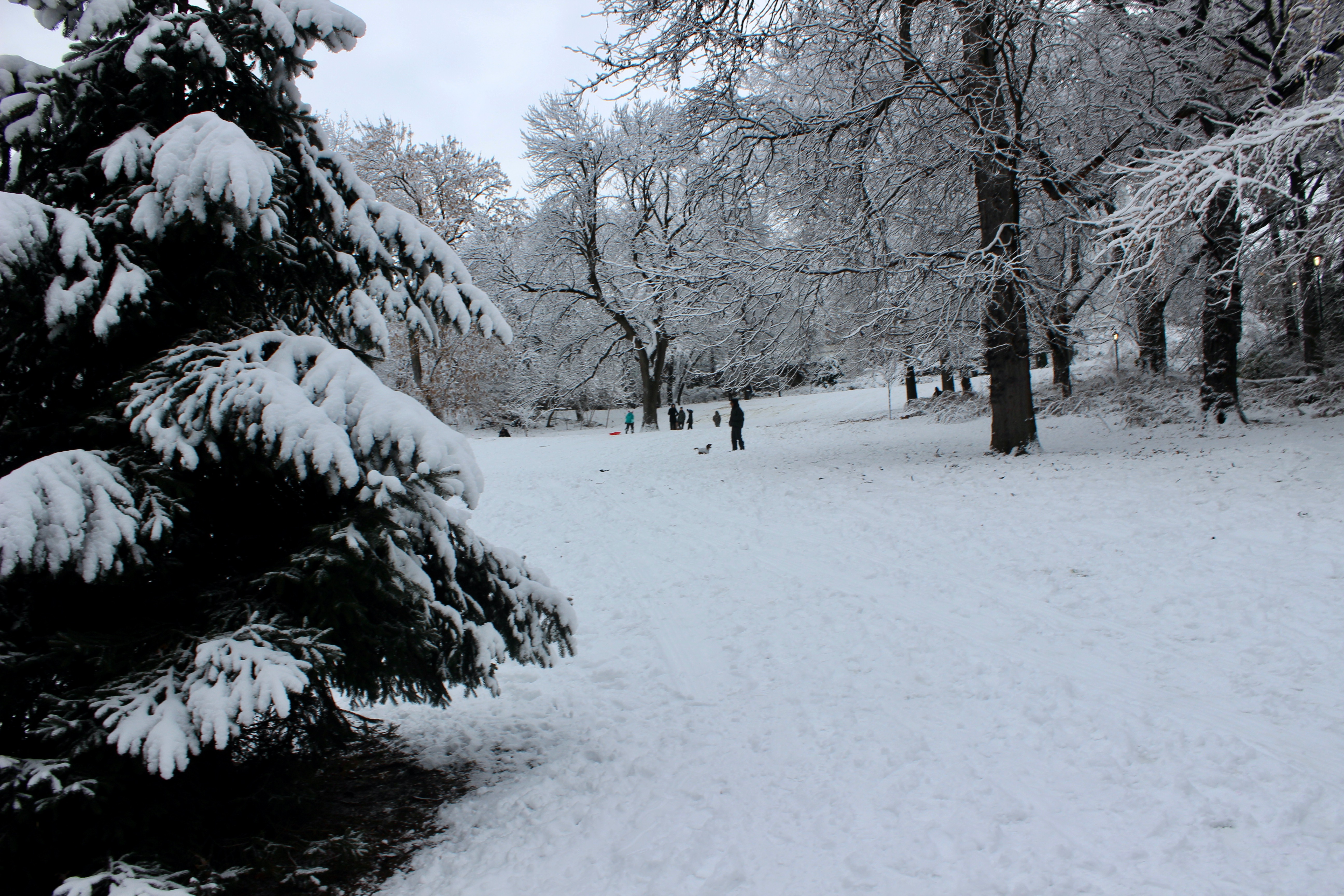 Winter Storm Warning As 22 Inches of 'Lake-Effect' Snow To Hit