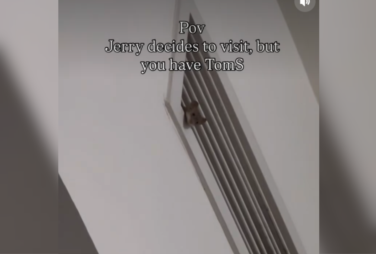 Fui visitar a casa de uma mulher. Histérico sobre o que o espera.