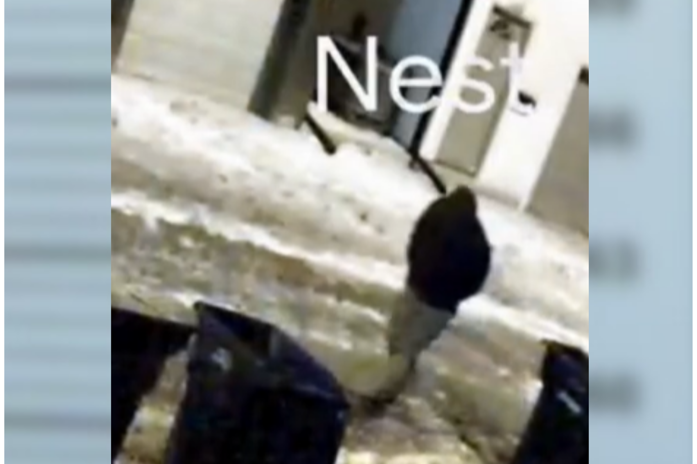 Police Say 'Disturbing' Murder of Couple Could Hinge on One Detail