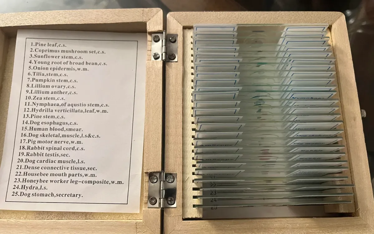 A series of scientific slides.