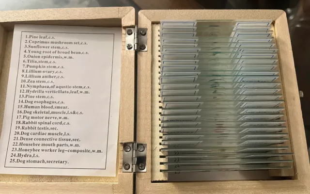 A series of scientific slides.