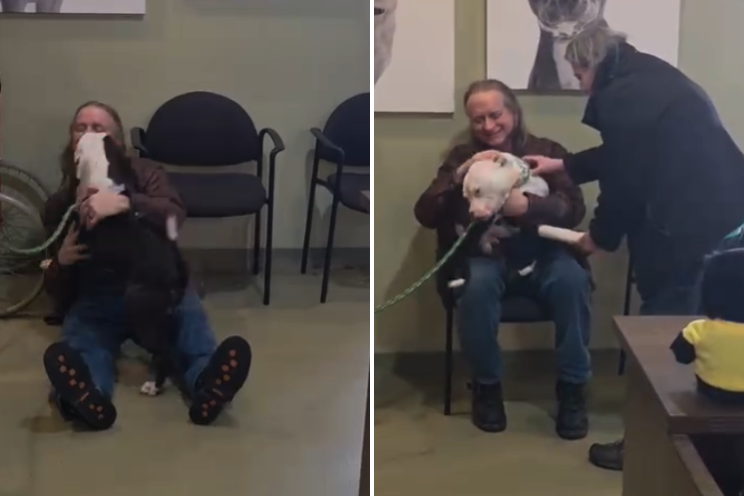 Tears at Shelter Dog's Reaction the Moment He Meets His New Family