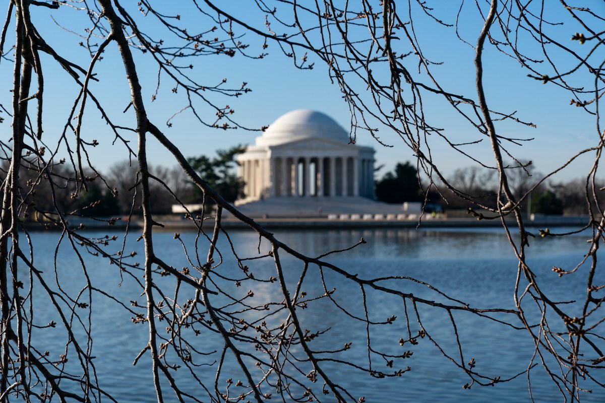 Who Is Scott Socha? Trump’s New National Parks Nomination Sparks Backlash