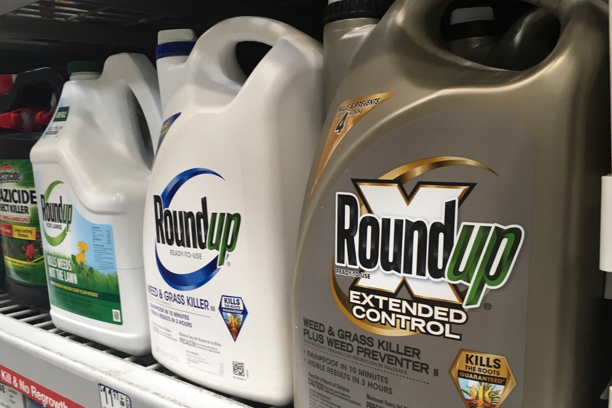How safe is glyphosate chemical backed by Trump? What the science says