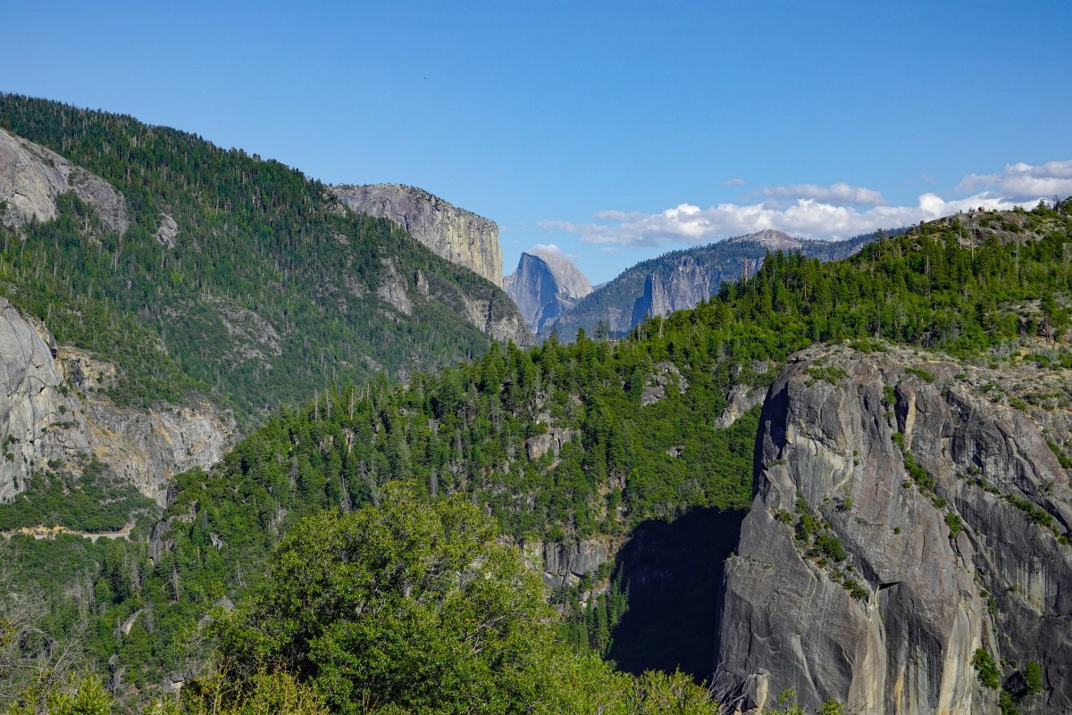 Donald Trump Sued Over Bid To 'Erase History' In National Parks