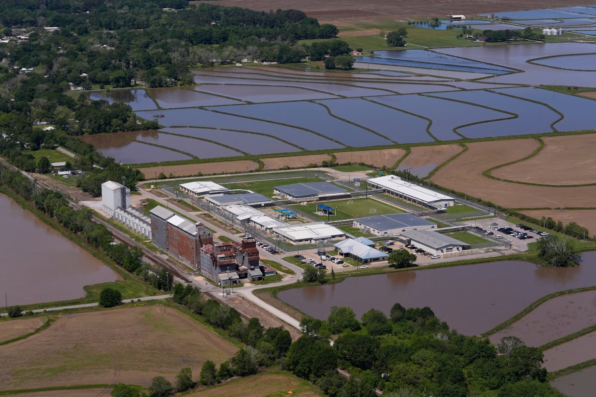 Trump Admin Likely Violated the Law, Federal Judge Warns