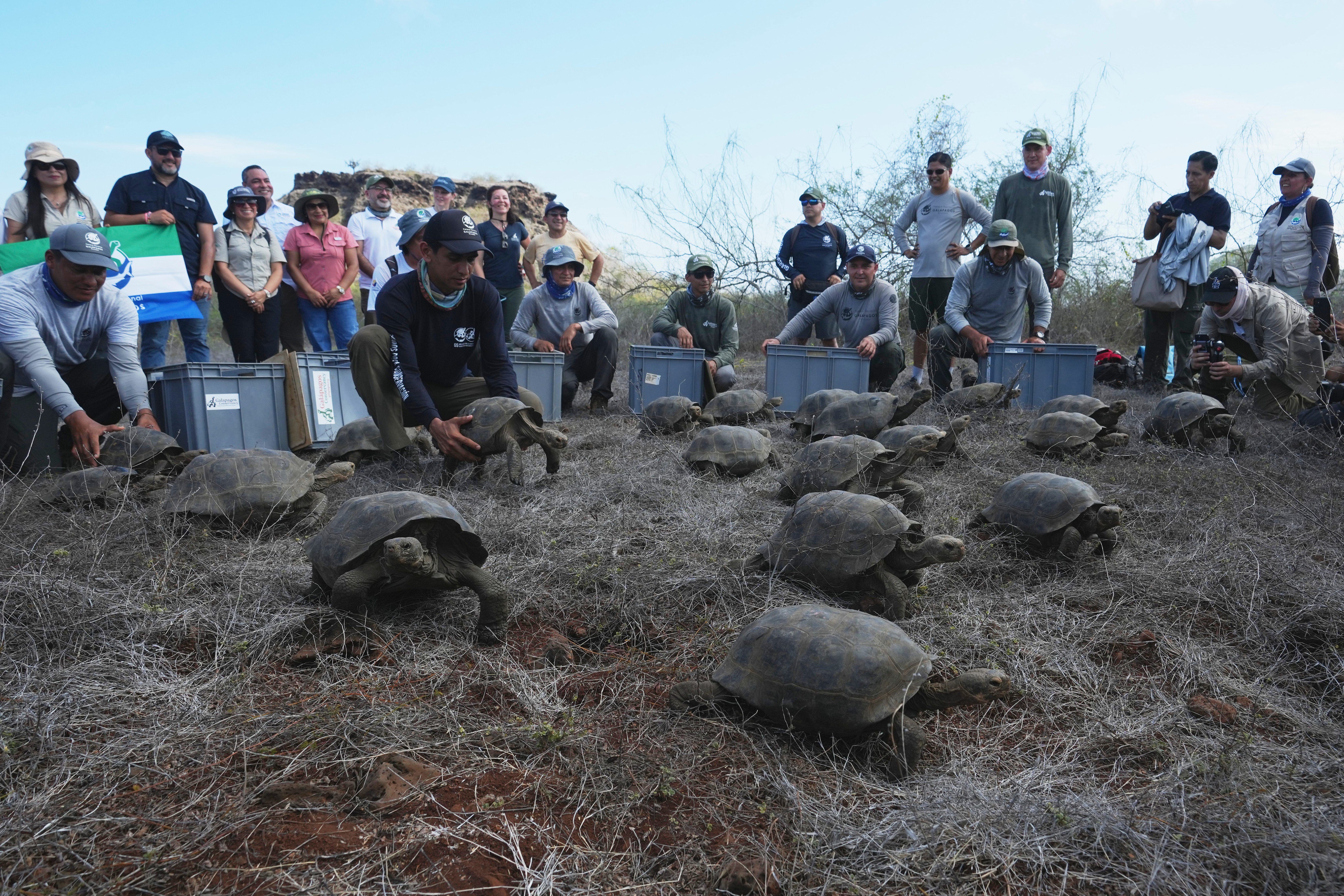 NASA Helps Return Giant Tortoises to Galápagos After 150 Years