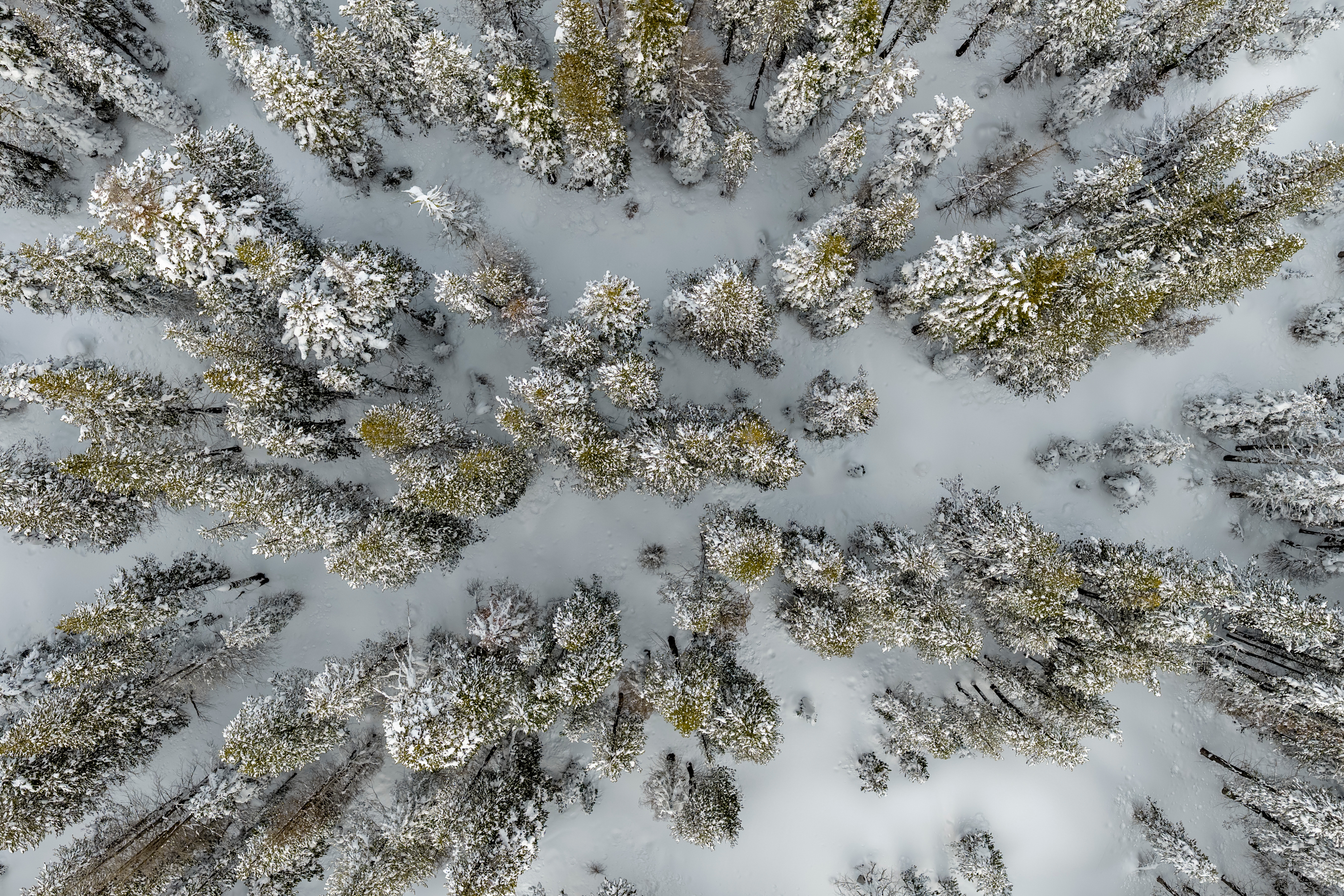 Two Skiers Die in Lake Tahoe Region Days After 8 People Killed in Avalanche