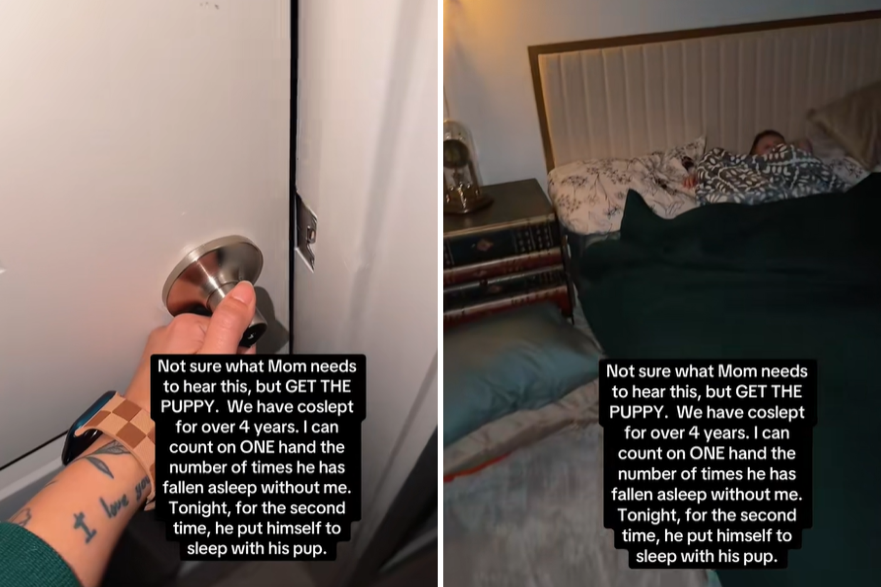 Boy, 4, Gets His Own Puppy, Then Mom Notices an Unexpected Perk at Bedtime