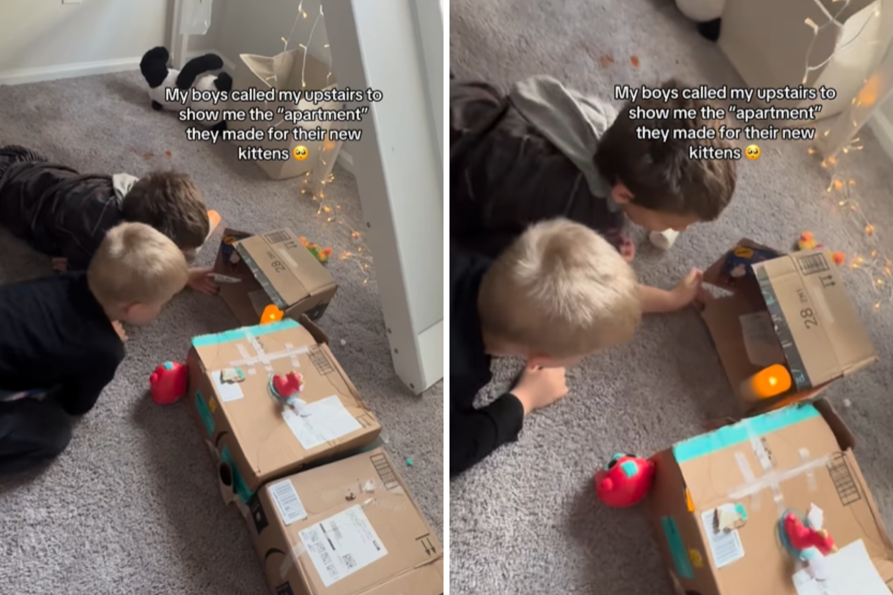 Mom Called Upstairs by Boys to See New Kitten—Not Prepared for the Surprise