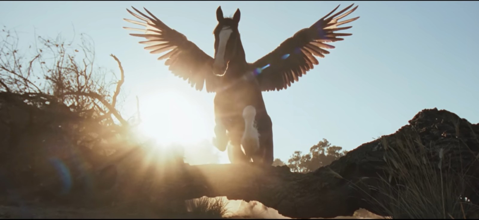 newsweek.com - Peter Aitken - Super Bowl ads get political: Healthcare, AI, antisemitism, Epstein feature