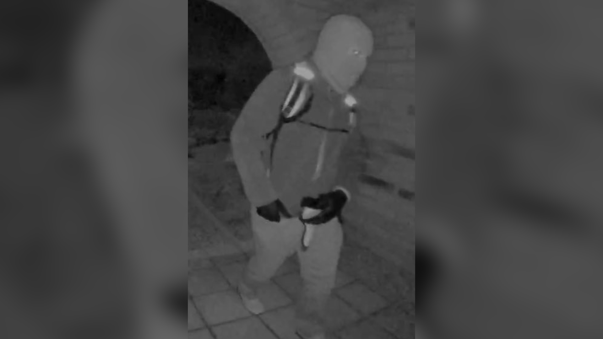 Nancy Guthrie Suspect Likely Known to Family, Ex-NYPD Officer Says