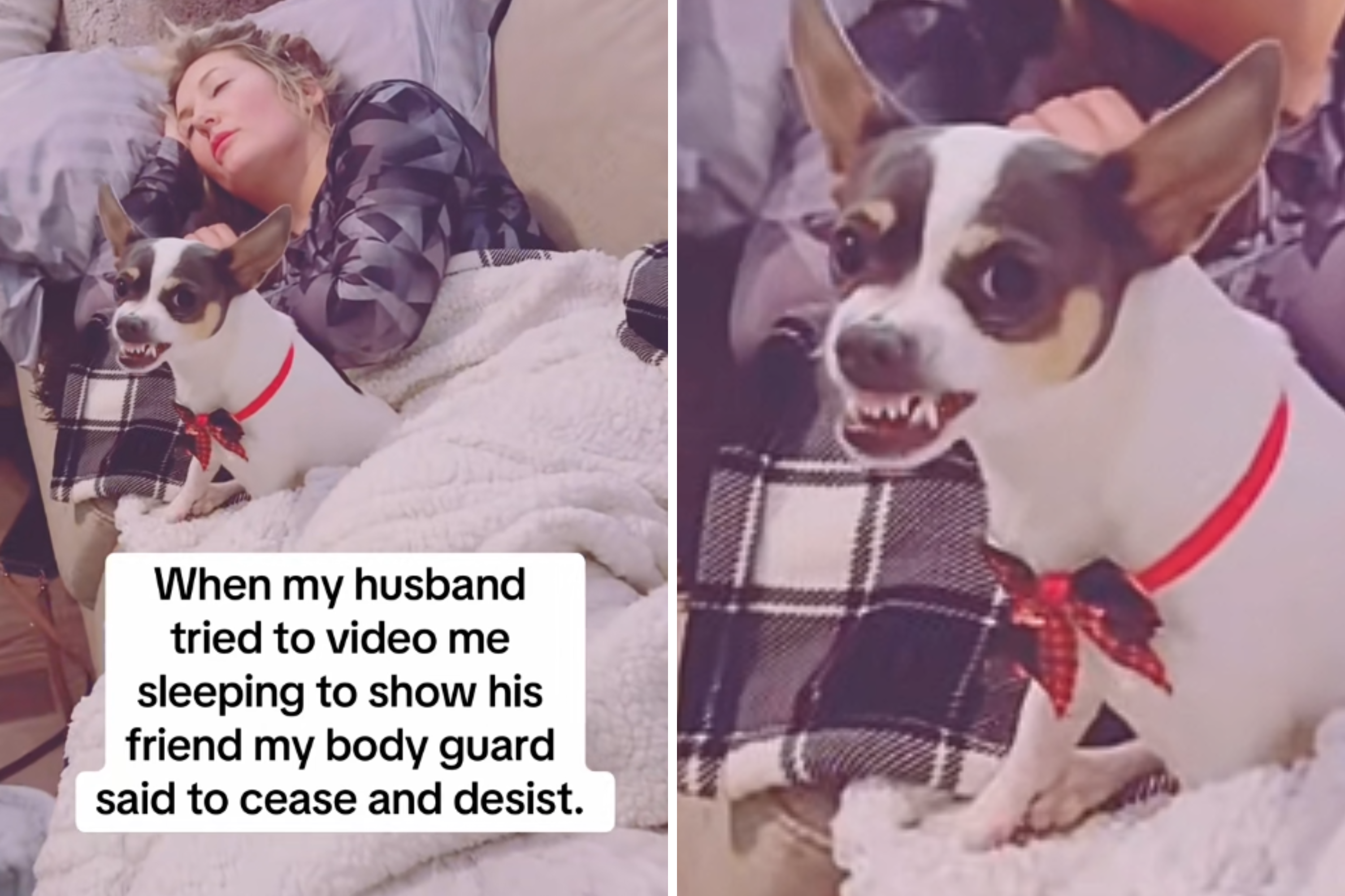 Man Films Wife Sleeping, Not Prepared for What Dog Does To Guard Her