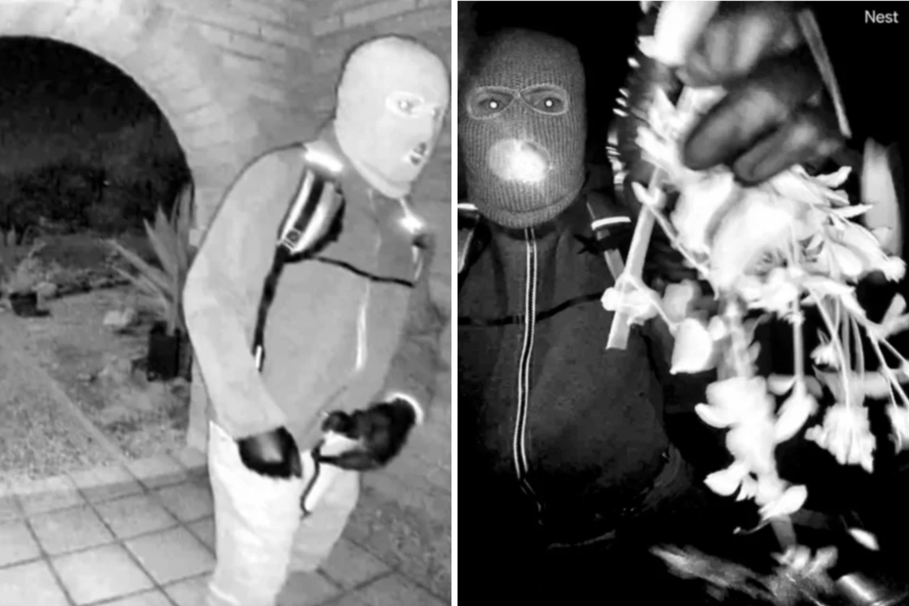 Nancy Guthrie Update: Ex-FBI Agent Highlights Overlooked Detail in Video