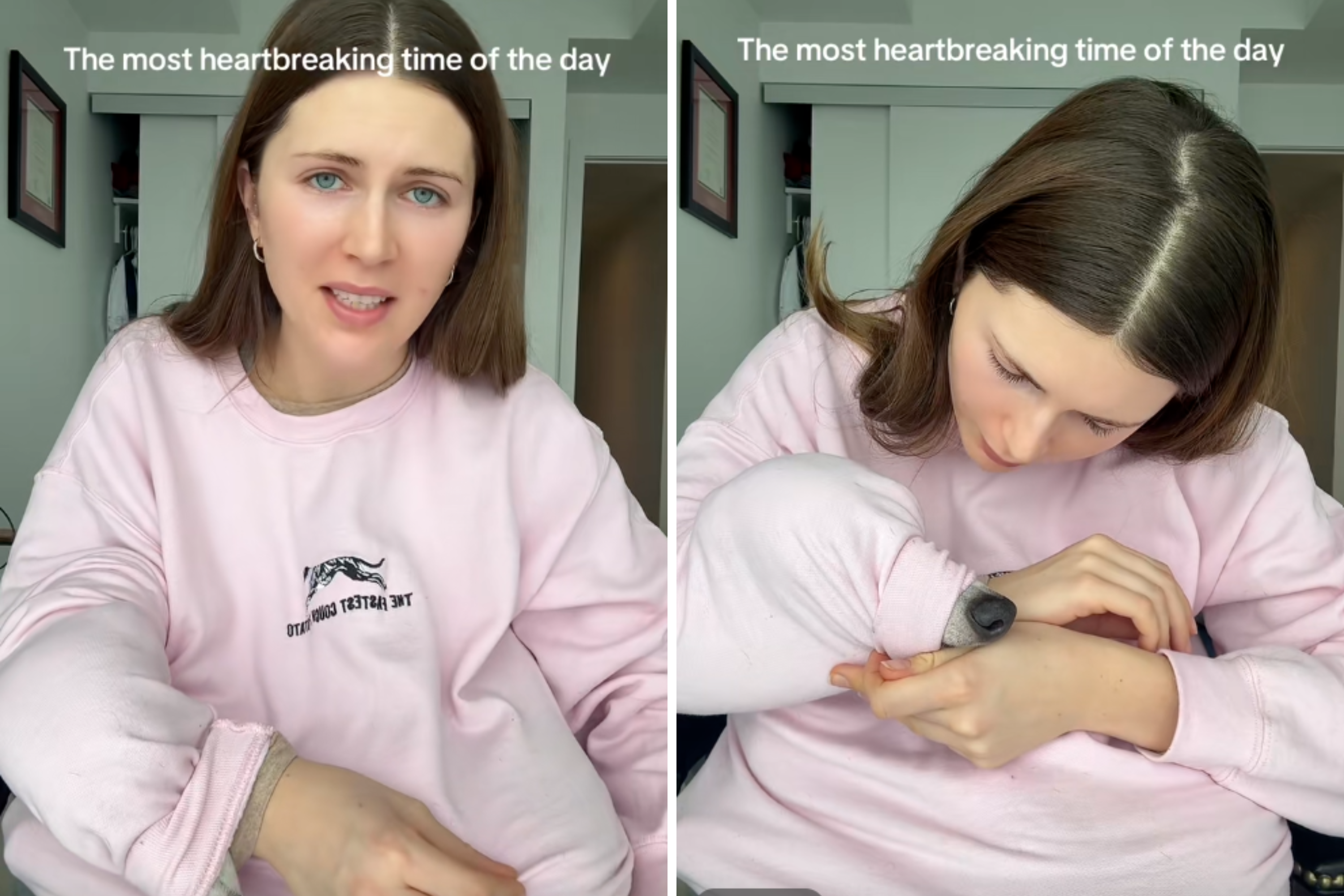Owner Has To Wake Sleepy Greyhound—No One Can Cope With Where He’s Hiding