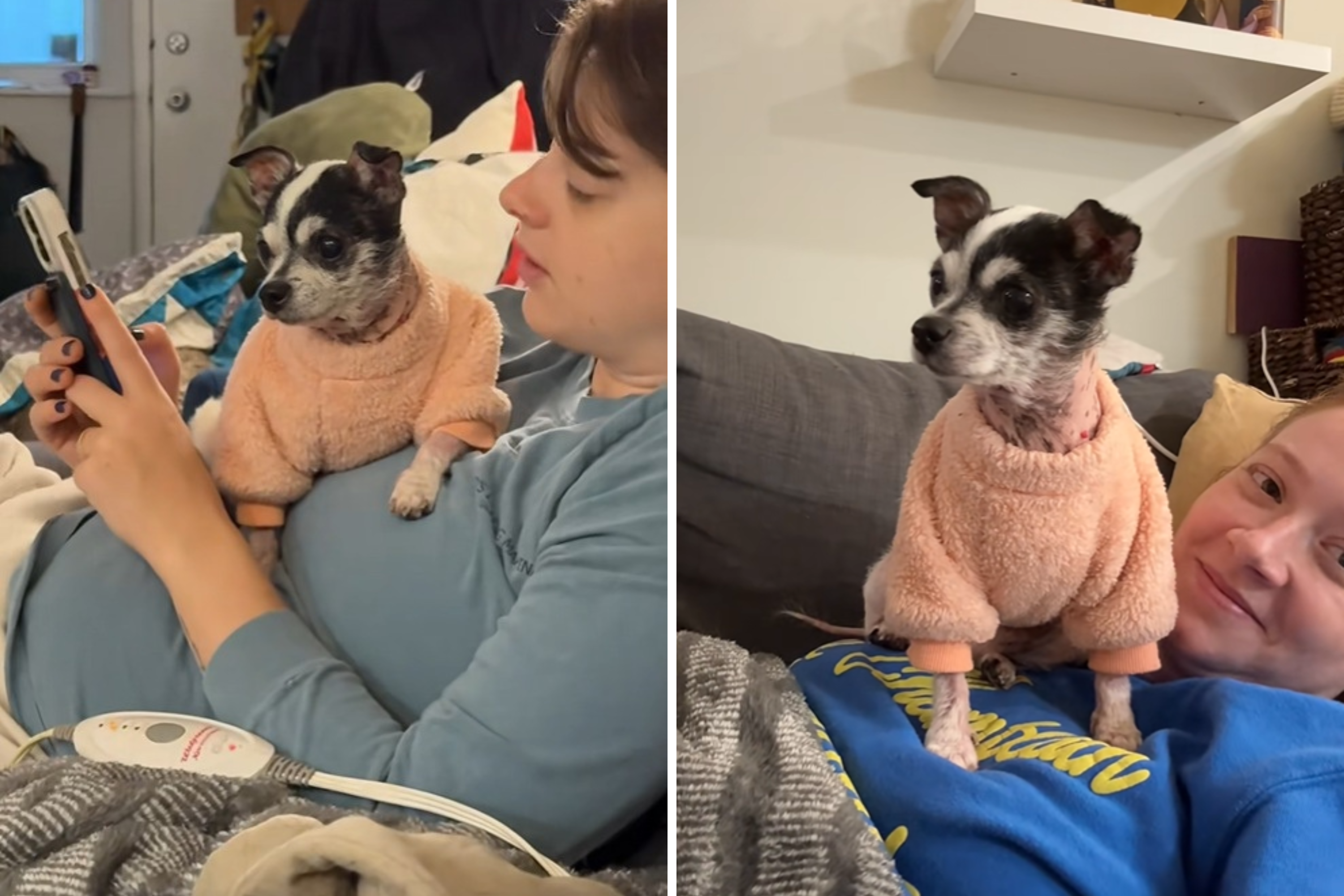 Senior Dog Left in Shelter After Owner Dies, but There’s Adorable Twist