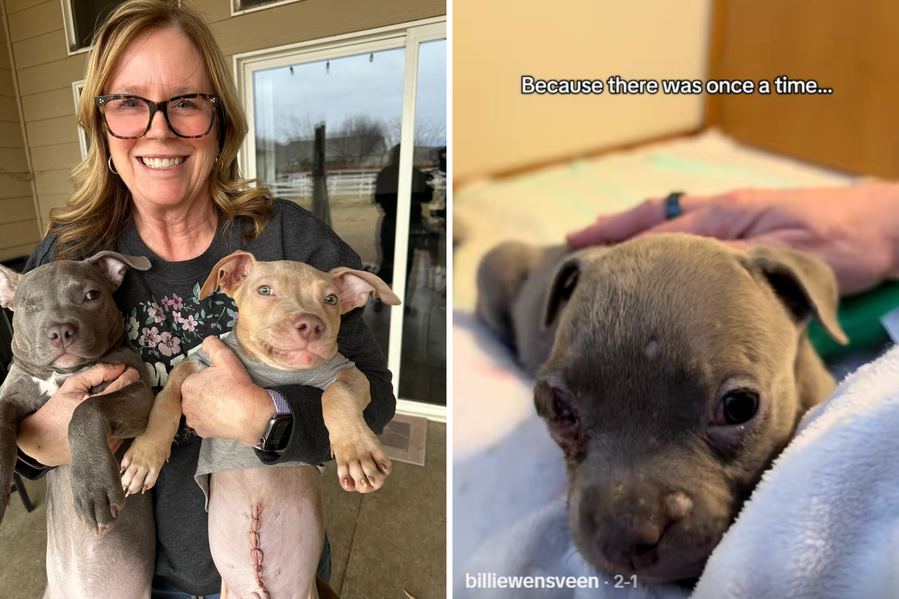 Tiny Foster Puppy With One Eye Grows Up, Tears Over Why It Means So Much