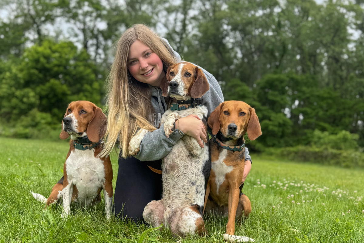 Beagle incendeia casa. Os irmãos ficaram presos lá dentro. Então o proprietário assistiu ao CCTV.
