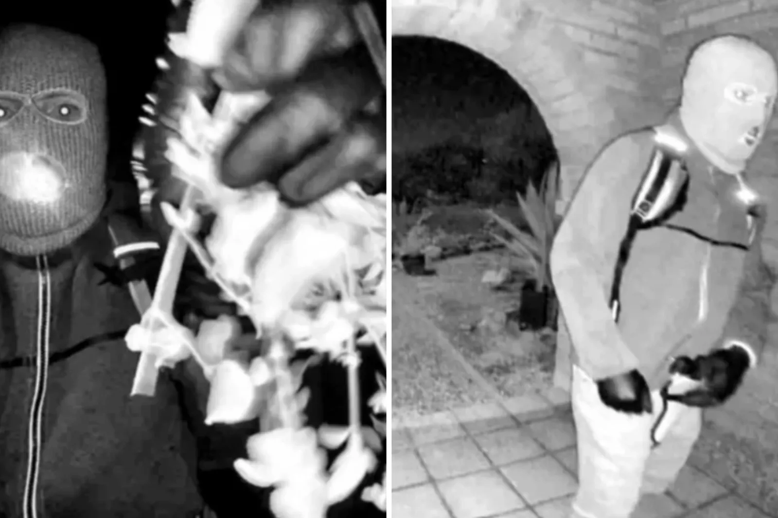 FBI photos of the suspect from Nancy Guthrie's doorbell camera.