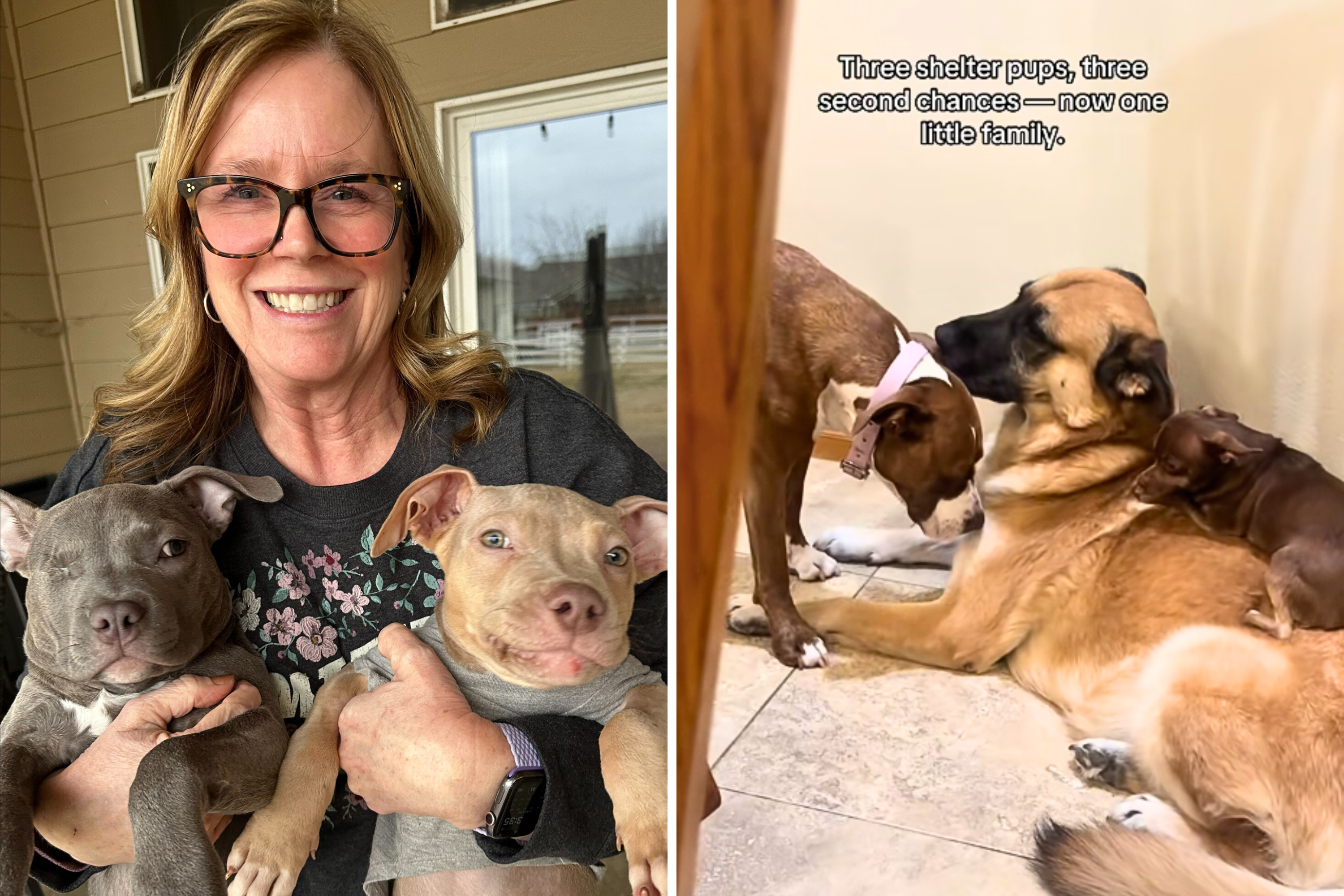 Hearts Melt at What ‘Second Chance’ for 3 Shelter Puppies Looks Like Now
