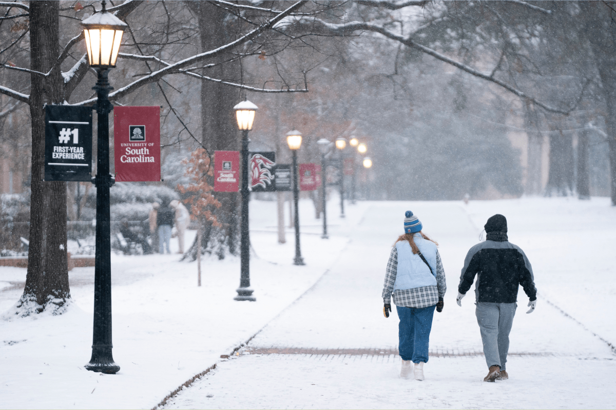 Winter Storm Warnings As Heavy Snow Strikes—‘Brief Blizzard Conditions’ Winter Storm Warnings As Heavy Snow Strikes—‘Brief Blizzard Conditions’