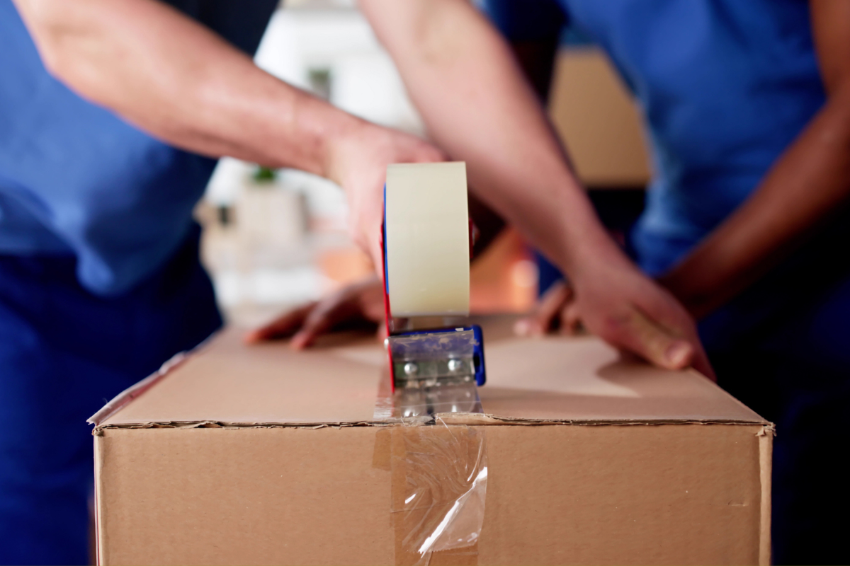 Homeowner moves into new place, then realizes who's watching at door