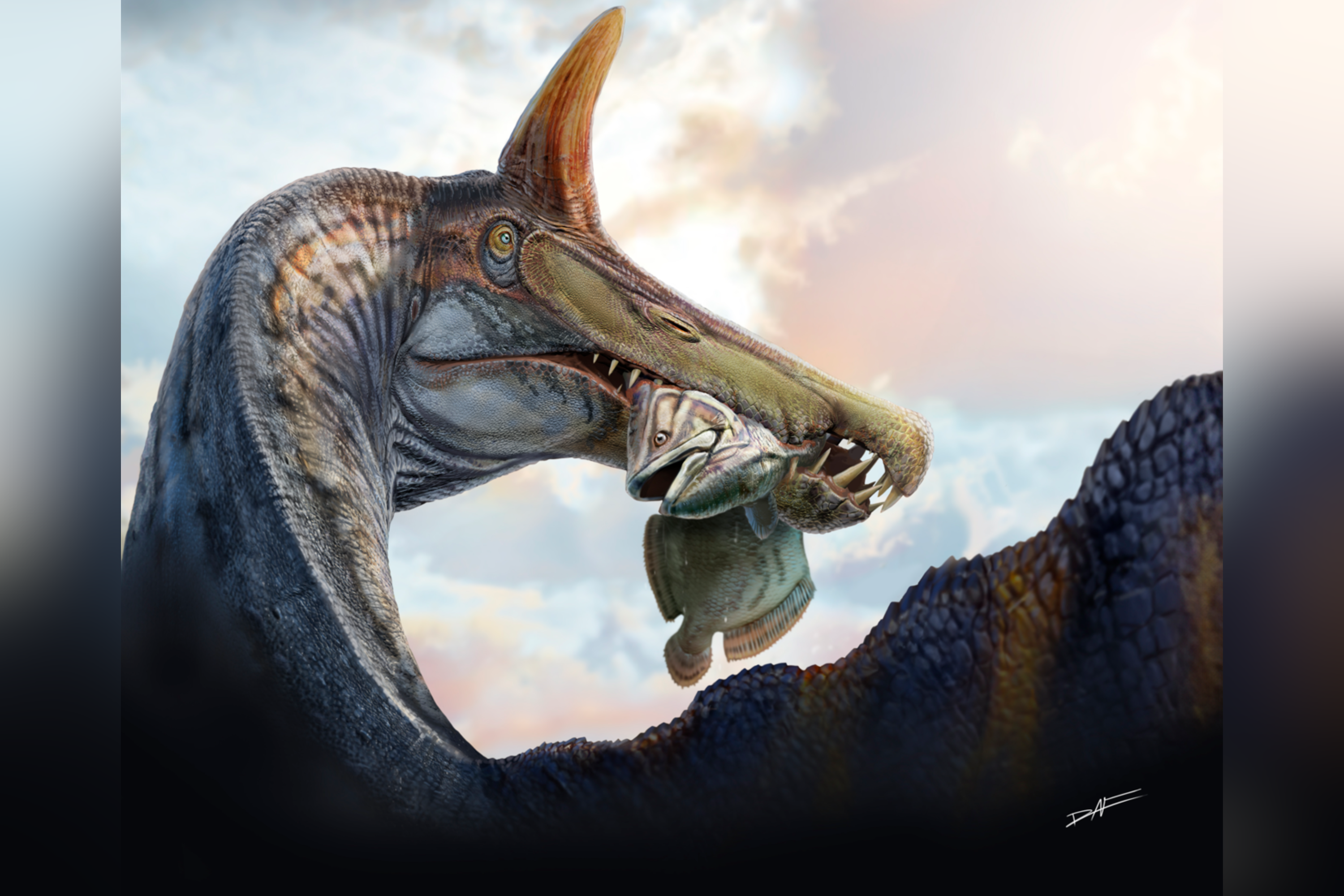 Scimitar-Crested Spinosaurus Discovered at Site Overlooked for 70 Years