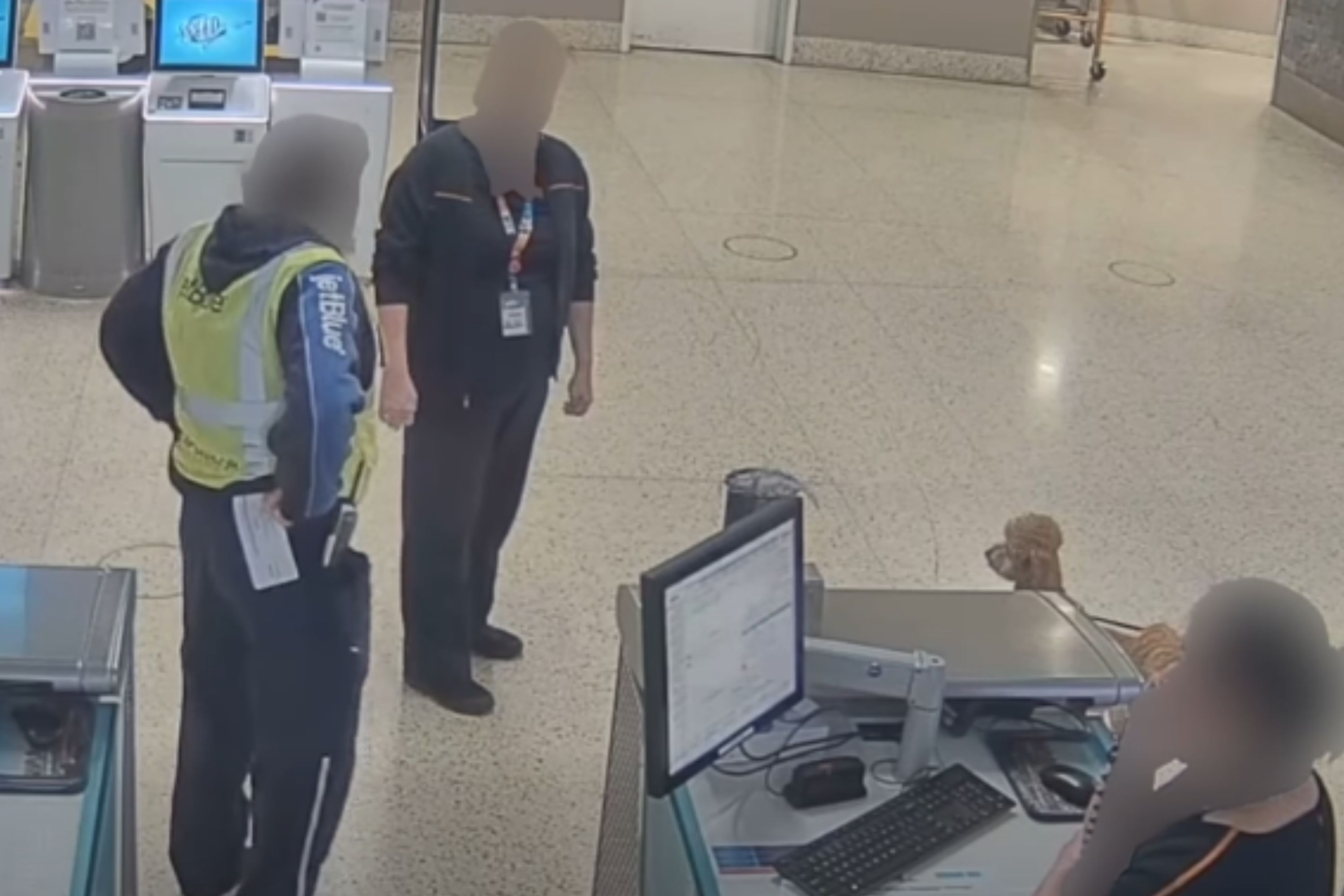 Dog Tied Up and Abandoned at JetBlue Counter by Owner Awaits Forever Home