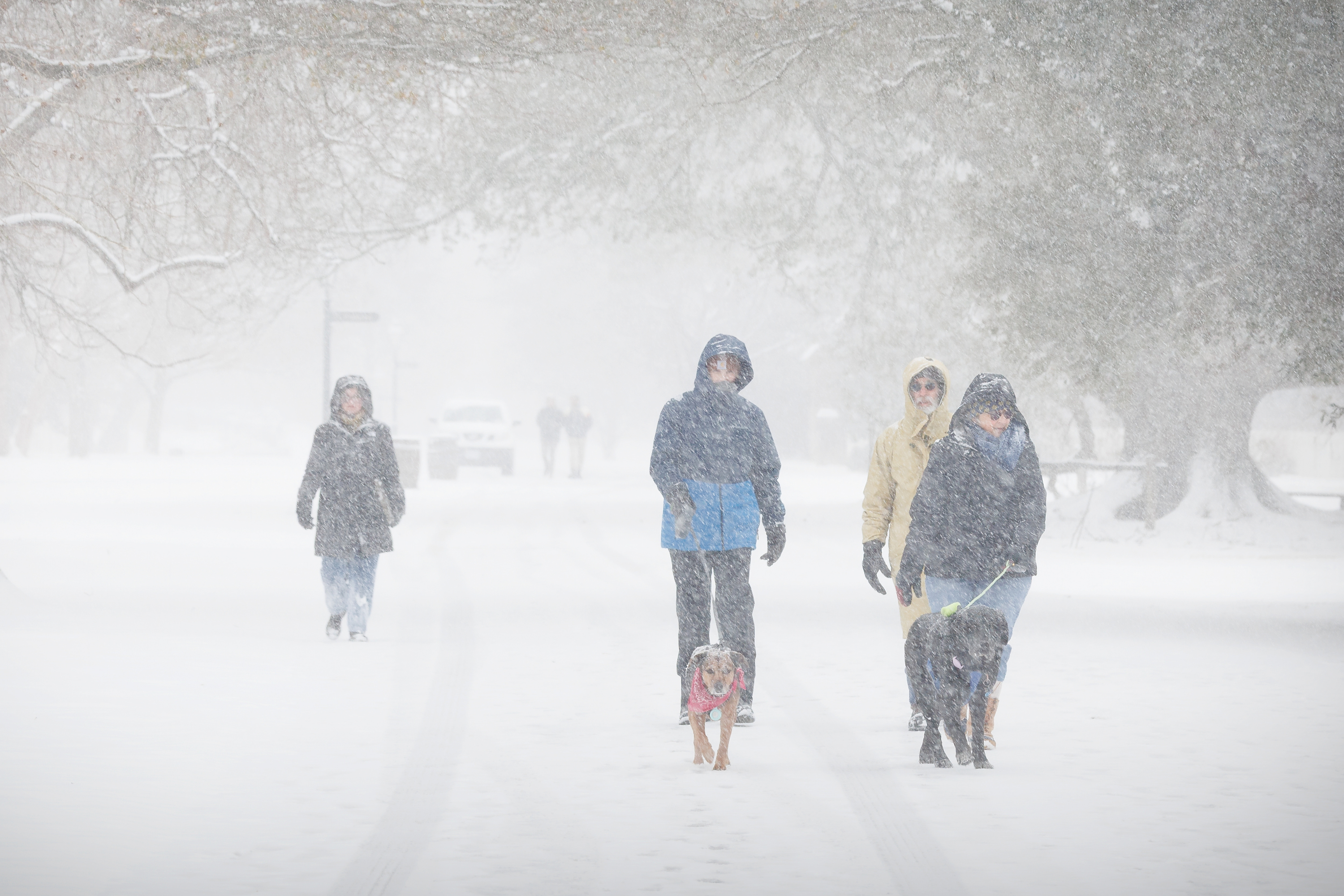 Winter Storm Watch As up to 8 Feet of Snow To Hit—'Extreme Caution'