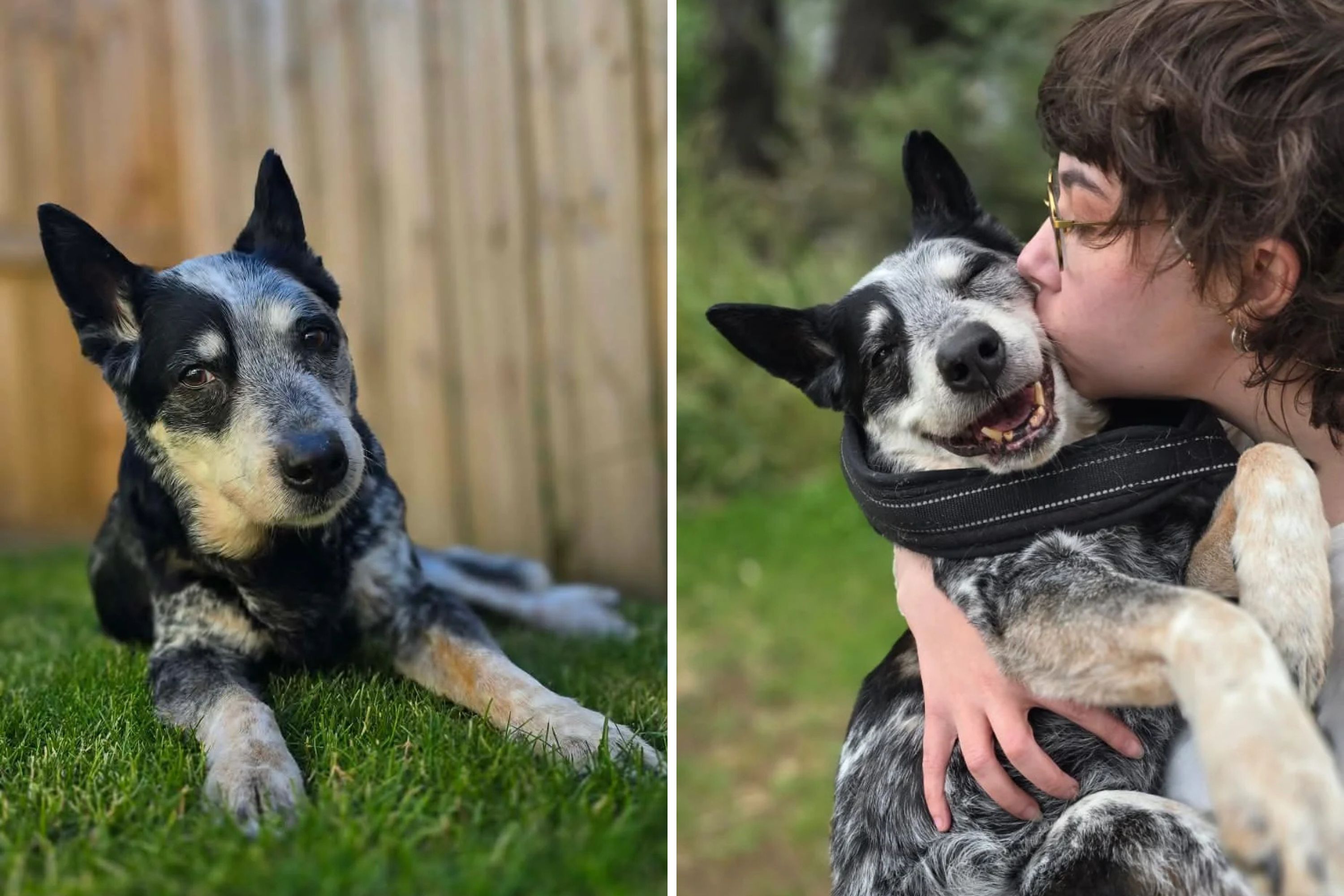 Woman Takes Photo With Dog on Last Day—Sky Makes for 'Memorable Night'