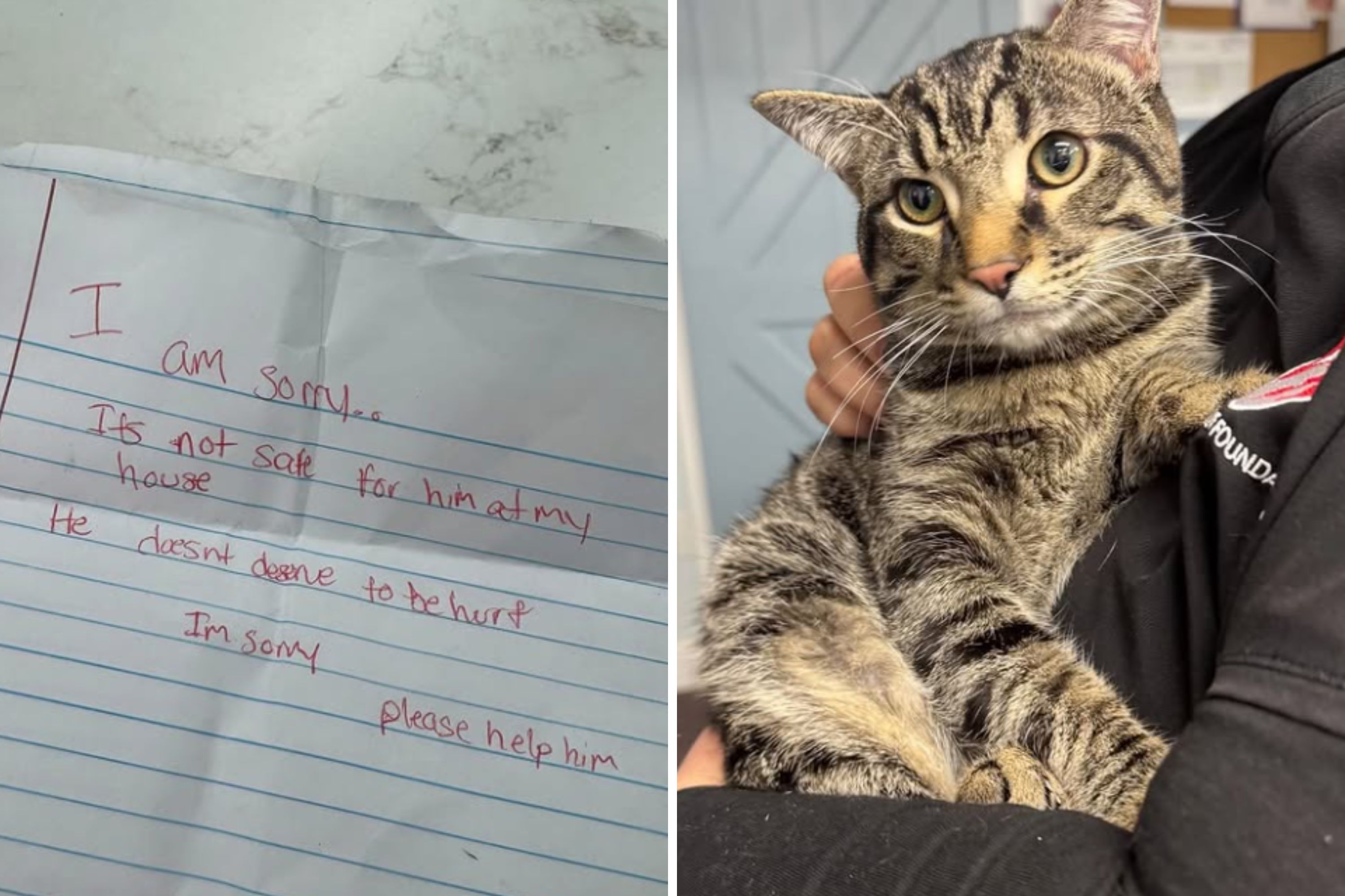 Staff Hearts Break for Cat Dumped Outside Shelter With ‘Devastating’ Note