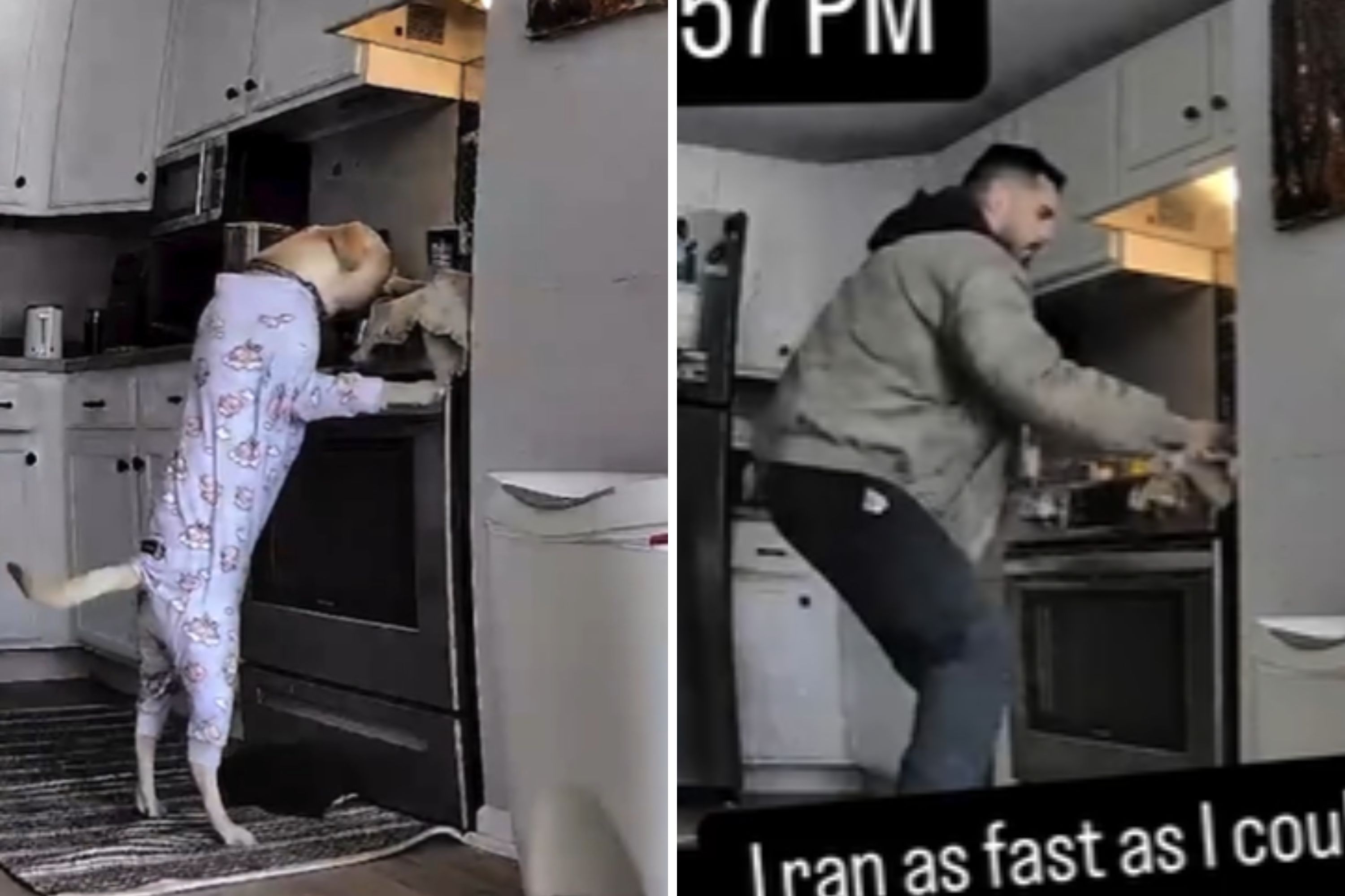 Owners Surprised at Dog Barking on Pet Cam—Then Realize It's Deadly Warning