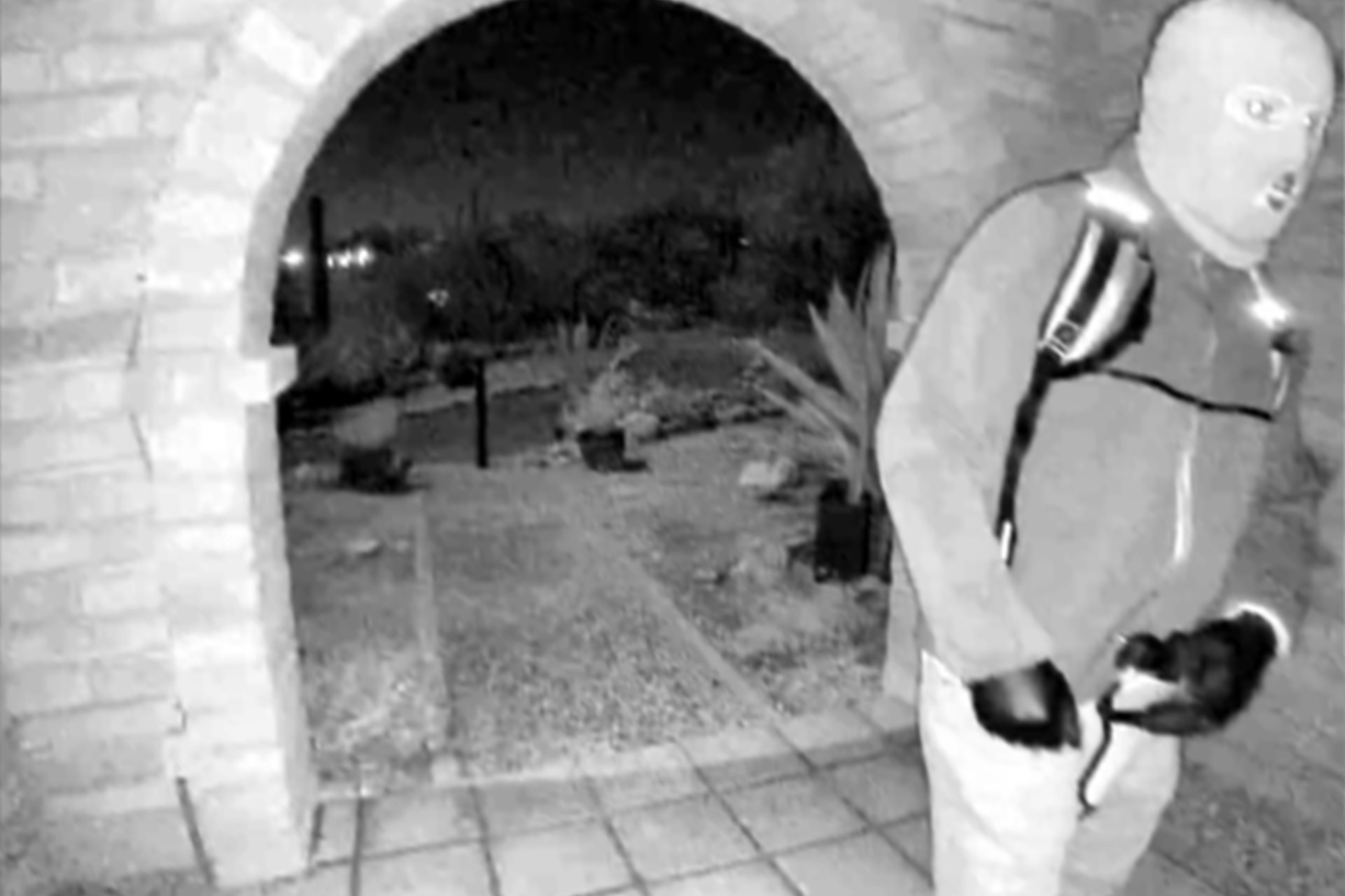 Who is Nancy Guthrie Kidnapping Potential Subject? What We Know