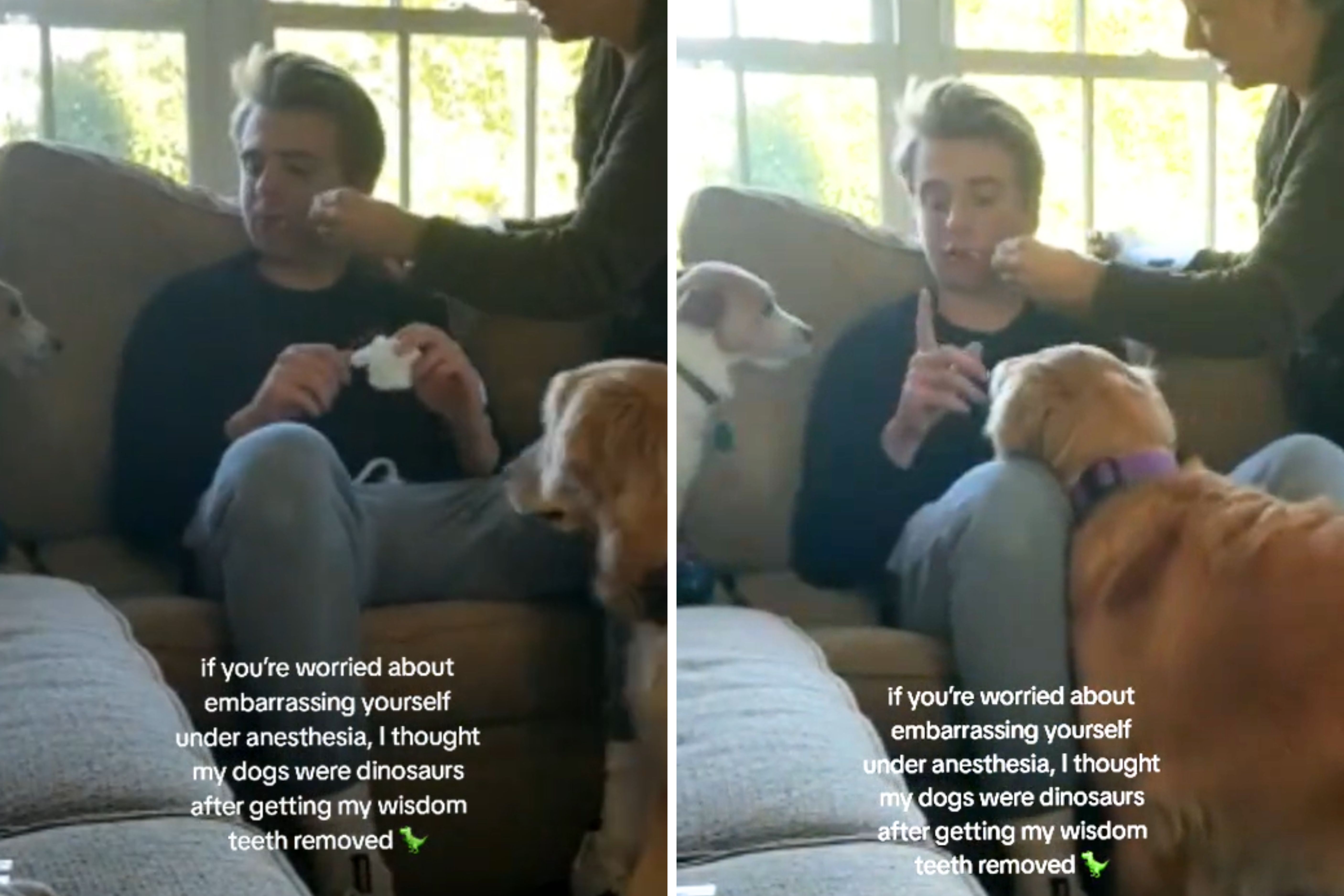 Man Under Anesthesia Sees Dogs—‘Embarrassing’ Reaction Caught on Camera