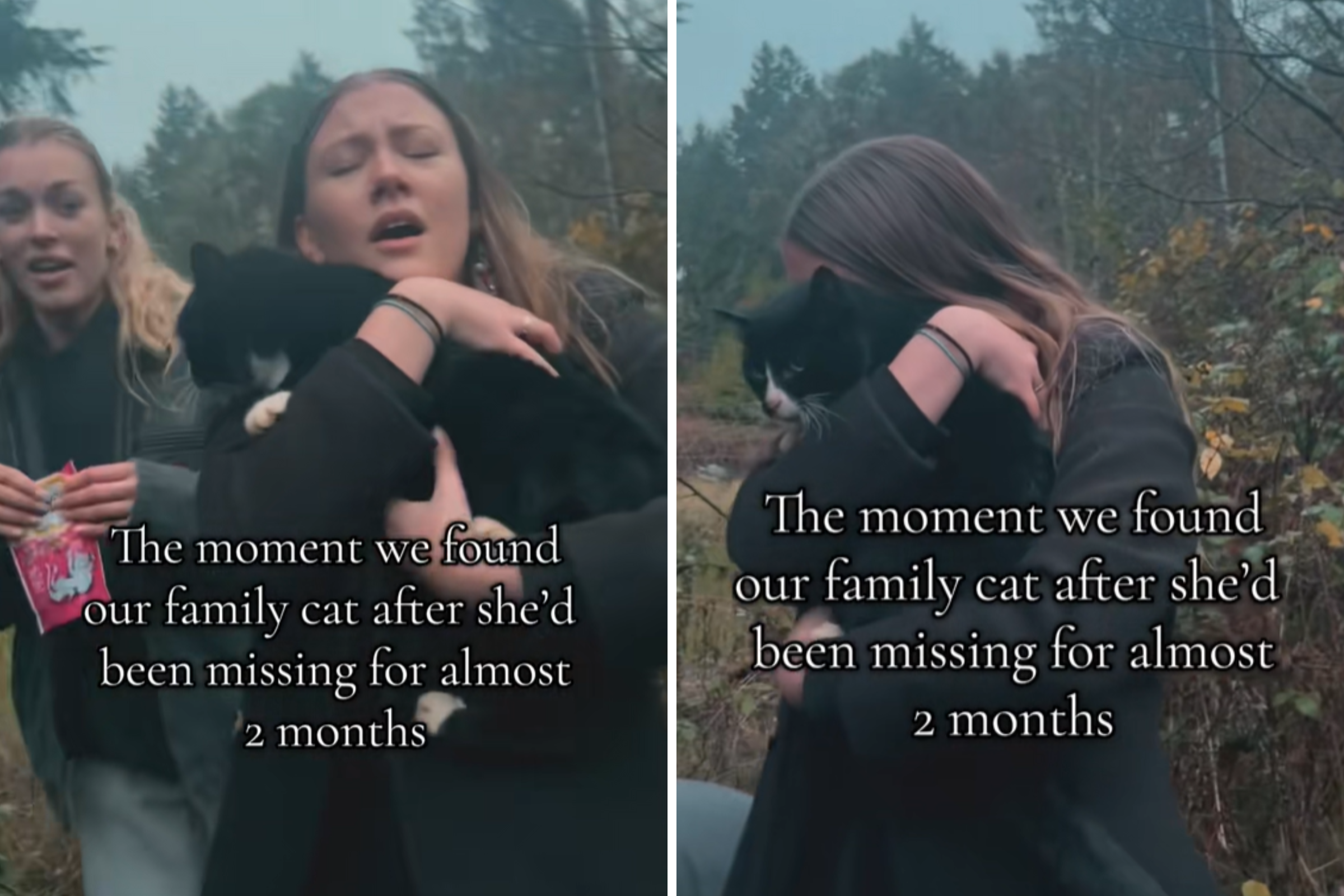 Moment Woman Reunites With Childhood Cat After Going Missing Months Ago