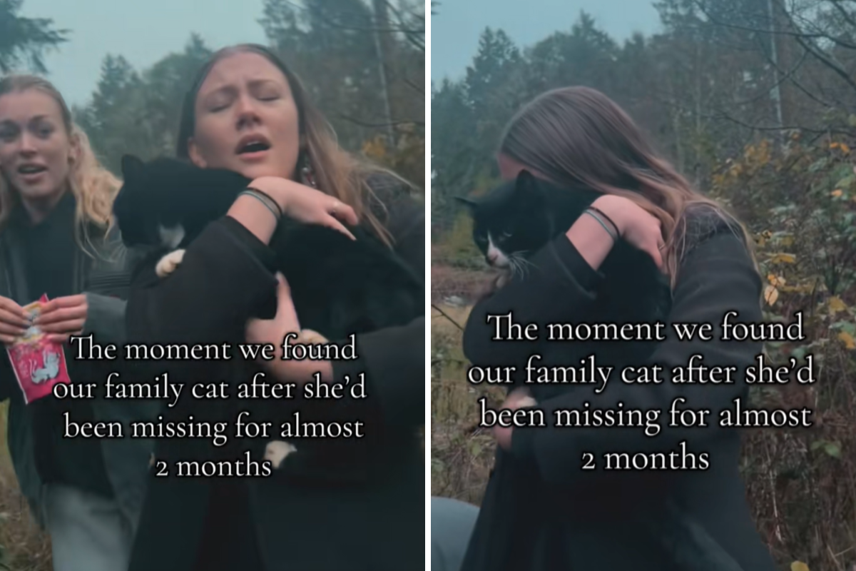 O momento em que uma mulher se reencontra com seu gato de infância depois de vários meses ausente.