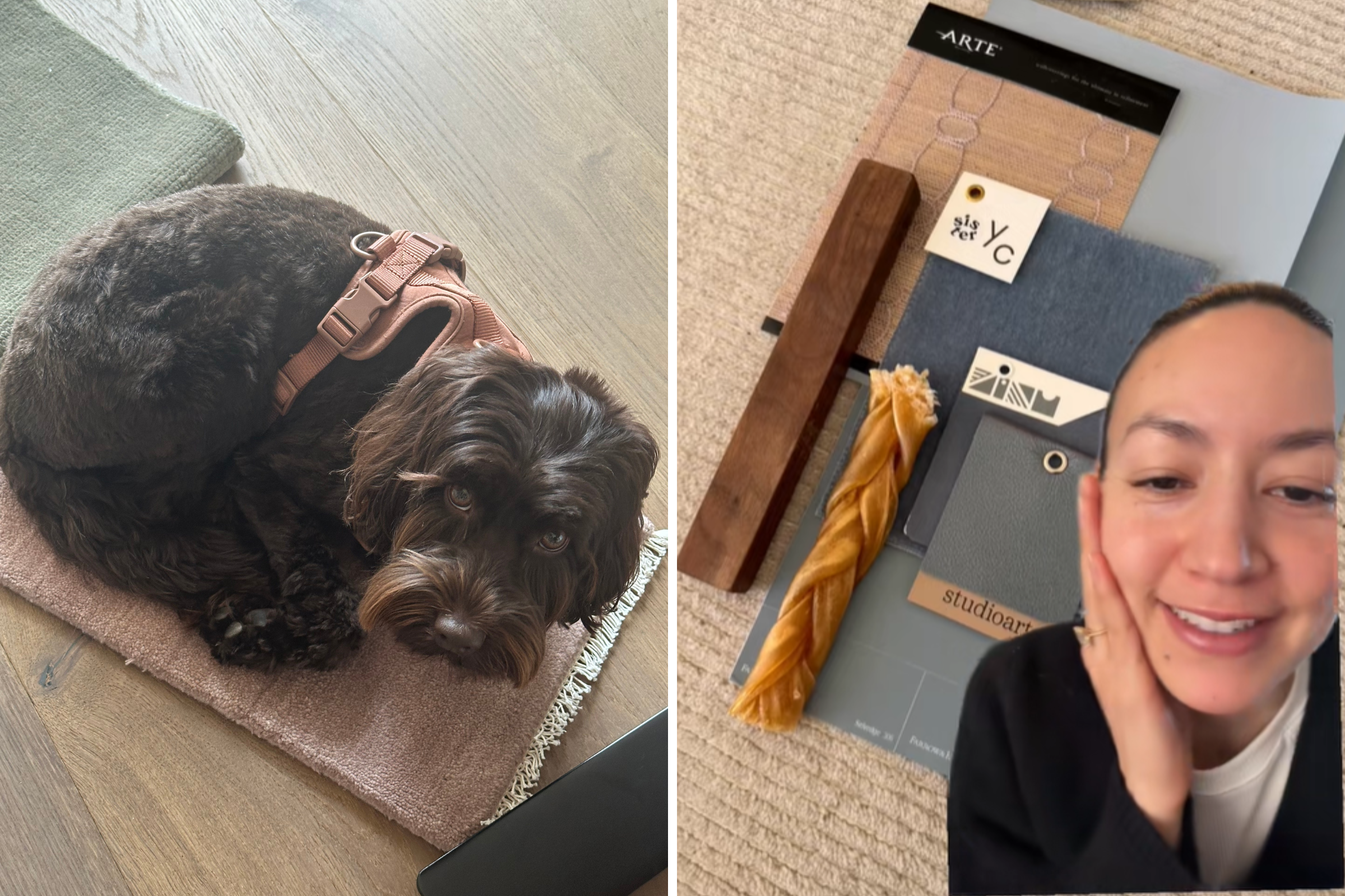 Interior Designer Snaps Work Photo—Then Notices Her Dog’s Perfect Addition