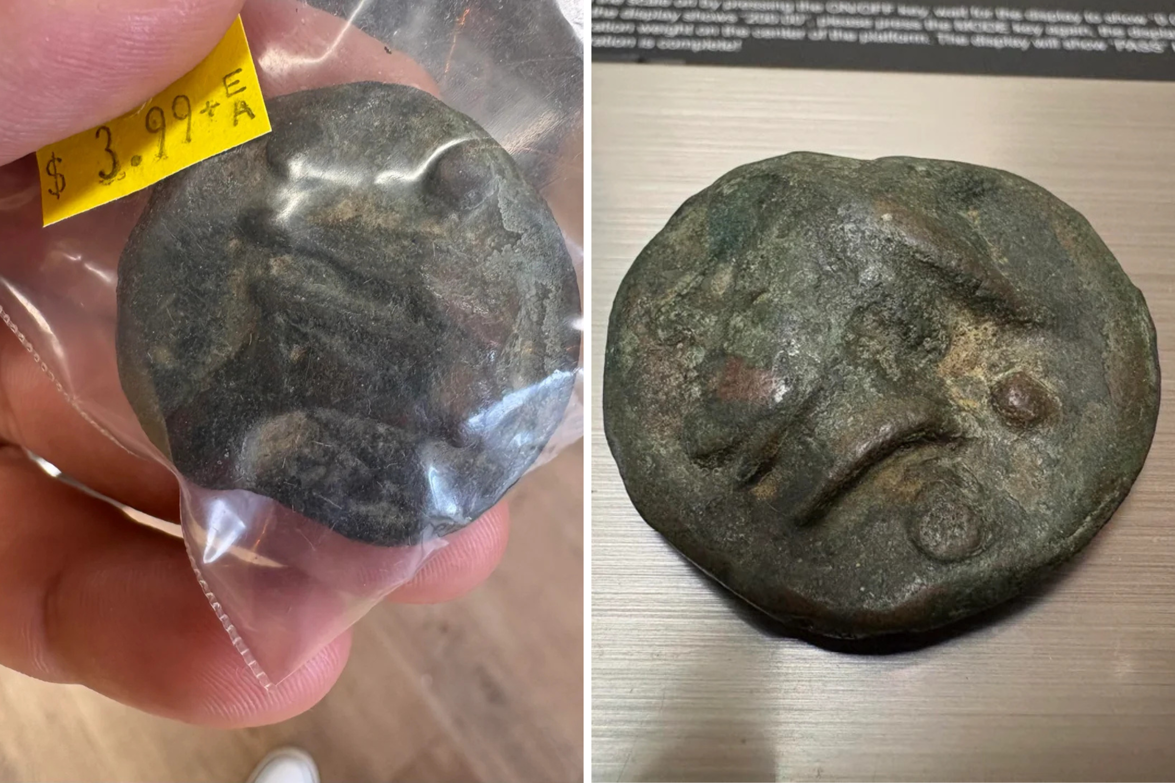 Man Pays $3.99 for Thrift Store Item—Expert Reveals It's 2,200 Years Old