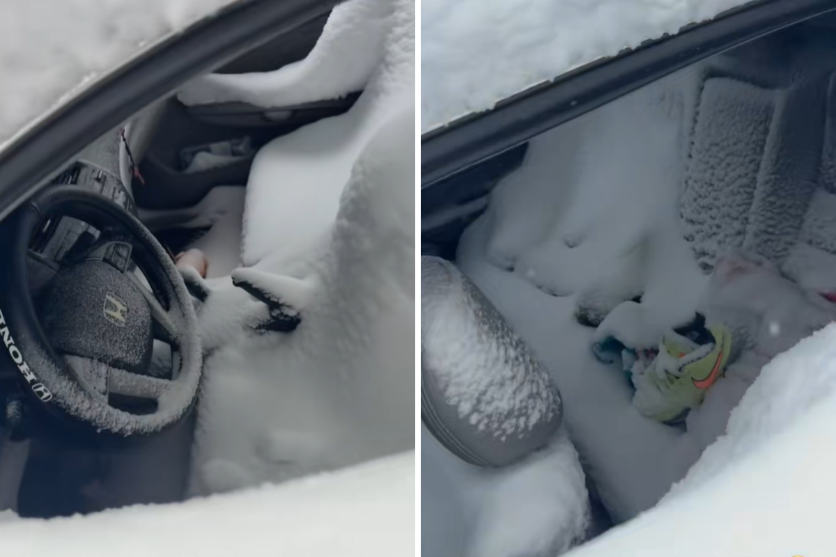 Man checks his car after New England blizzard—he can’t believe what he sees