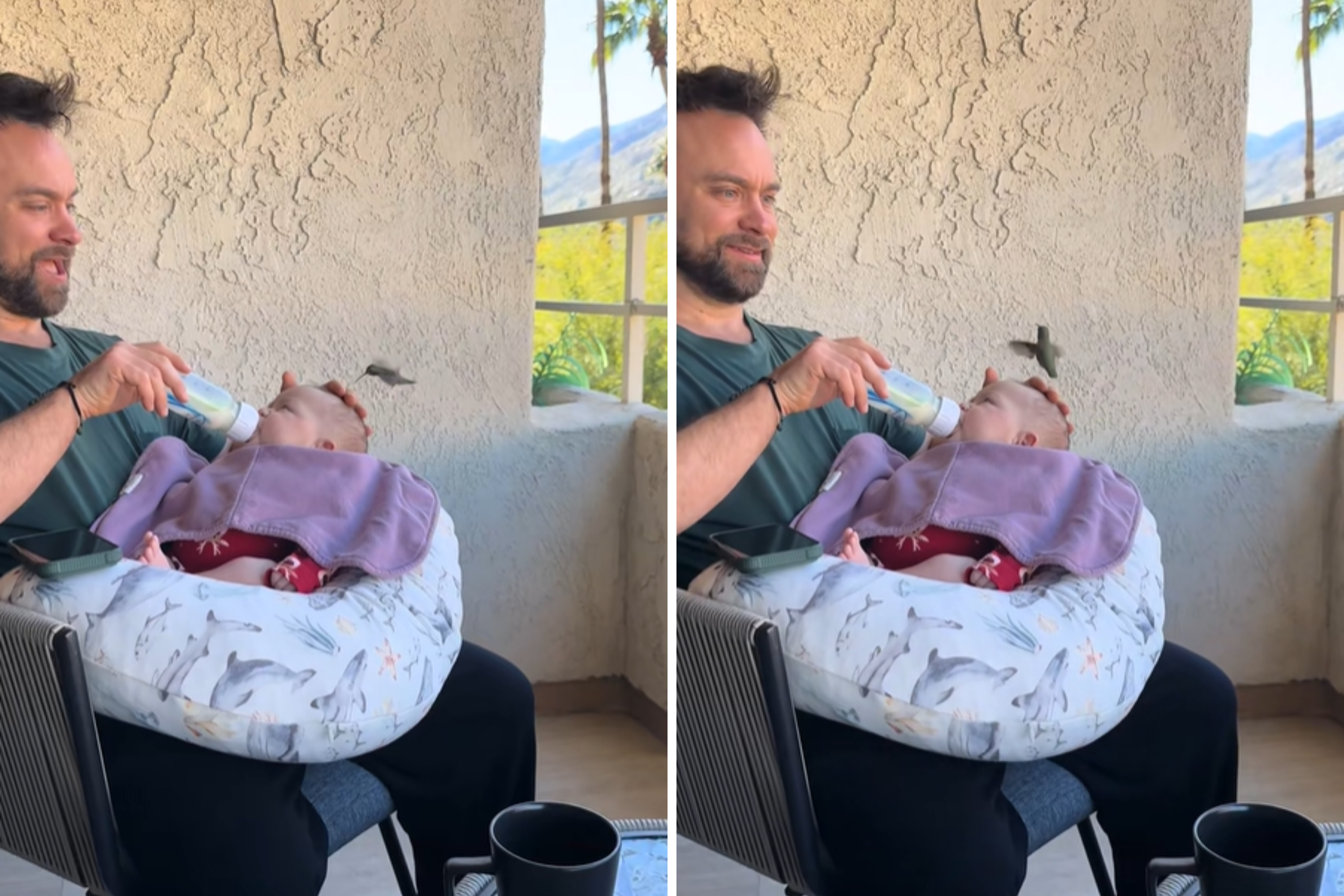 Dad Bottle-Feeds Baby, Not Prepared for Unexpected Visitor—'That Is A Sign'