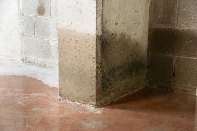Water damage shown on concrete column in a basement.