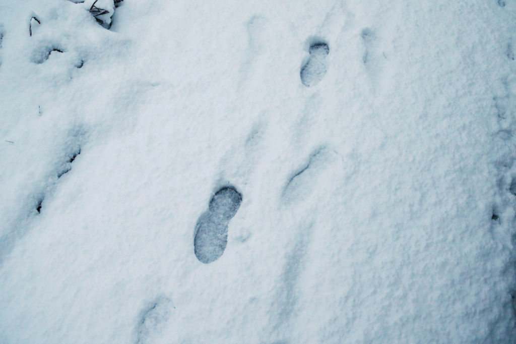 Couple Notices ‘Eerie’ Footsteps in Snow—Everyone is ‘Concerned’