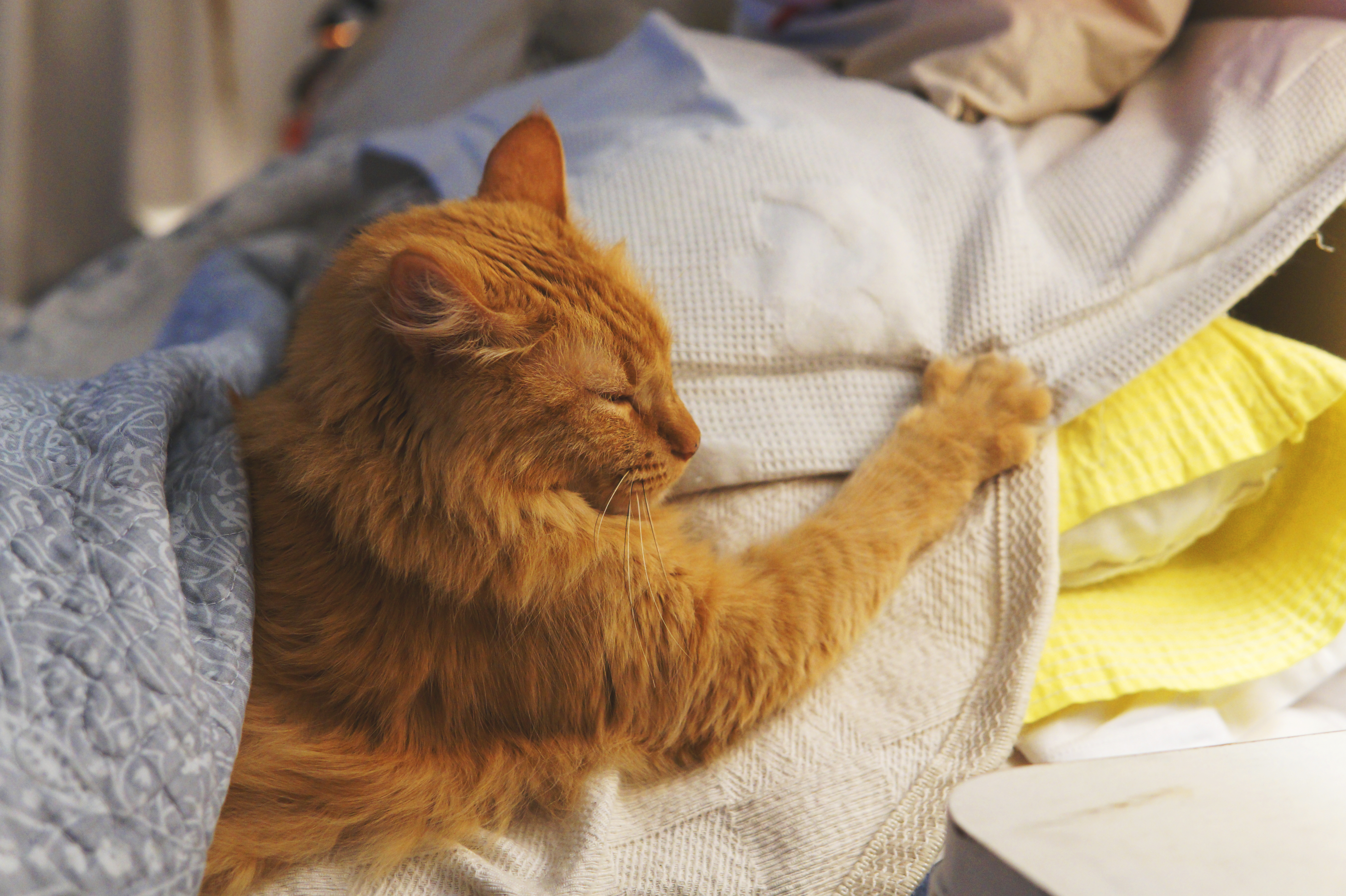 Hearts Melt at What Woman Sees Beside Her When She Wakes Up