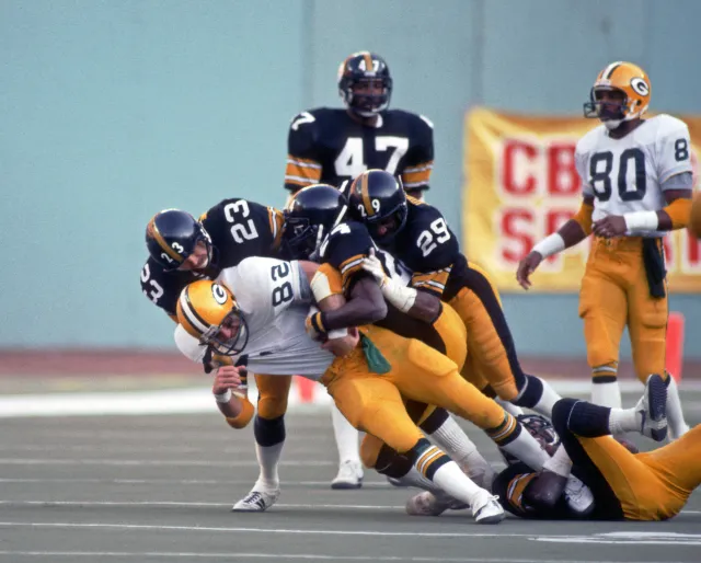 Mike Wagner Steelers