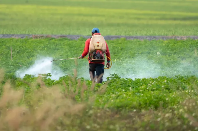 Stock image: a farmer sprays pesticide on a soy field.
